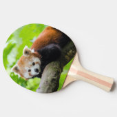 Red Panda Tafeltennisbatje (Zijkant)