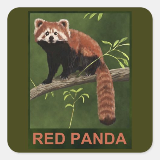 Red Panda Vierkante Sticker (Voorkant)