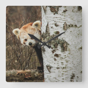 Red Panda Wall klok