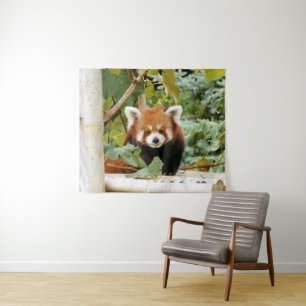 Red Panda Wandkleed