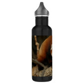 Red Panda Waterfles (Links)