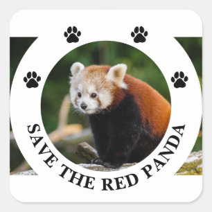 Red Panda-wildlife redden Vierkante Sticker