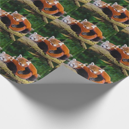 Red Pandas Cadeaupapier (Hoek)