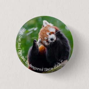 Red Pandas Ronde Button 3,2 Cm