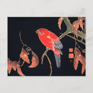 Red Parrot aan de tak van een boom van Ito Jakuchu Briefkaart