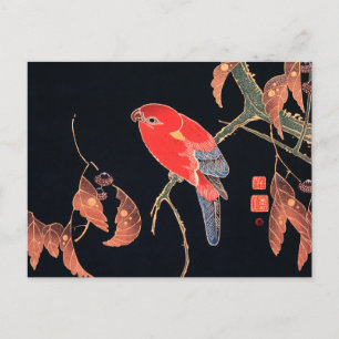 Red Parrot aan de tak van een boom van Ito Jakuchu Briefkaart