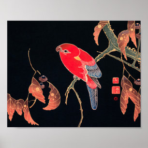 Red Parrot Bird Japans Woodblock Print