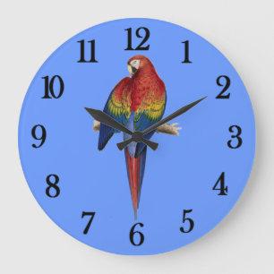 Red Parrot Blue Background Grote Klok
