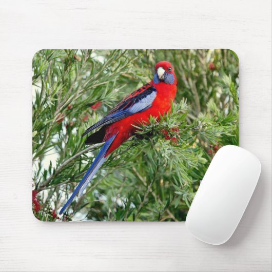 Red Parrot Mousepad Muismat (Met muis)