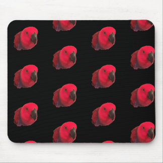 RED PARROTS MOUSEPAD Black Muismat