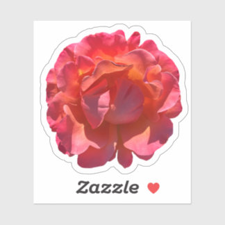 Red Peach Roos Blossom Sticker