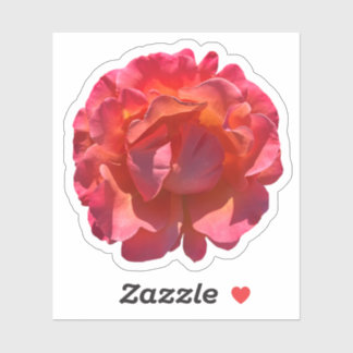 Red Peach Roos Blossom Sticker
