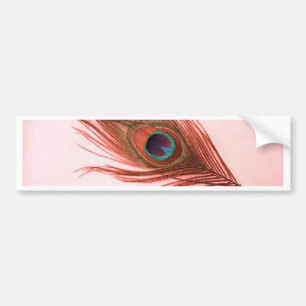 Red Peacock Feather Bumpersticker