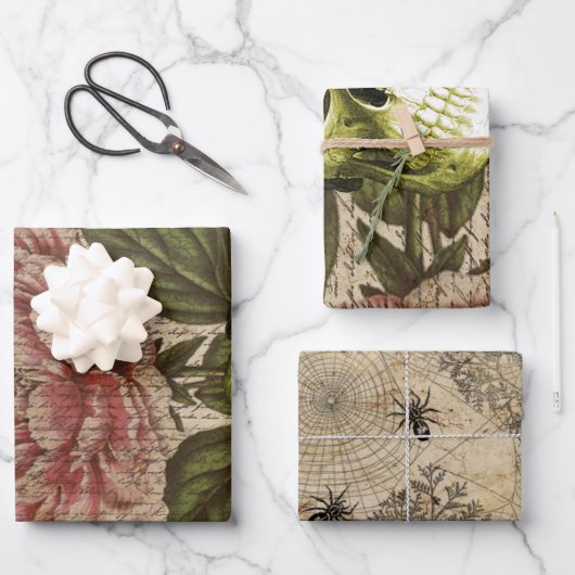 Red Peony Steampunk Inpakpapier Vel (Voorkant)