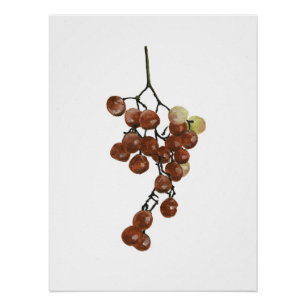 Red Peppercorns - Botanical Print 2 Perfect Poster