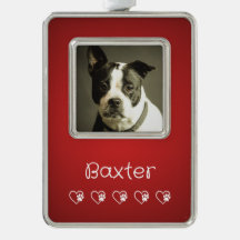 Red Pet Photo Ornament - Custom Photo