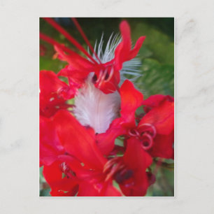 Red Petal Feather Art Print Briefkaart