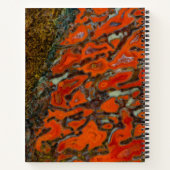 Red Petrified Dinosaur Bone Notitieboek (Achterkant)