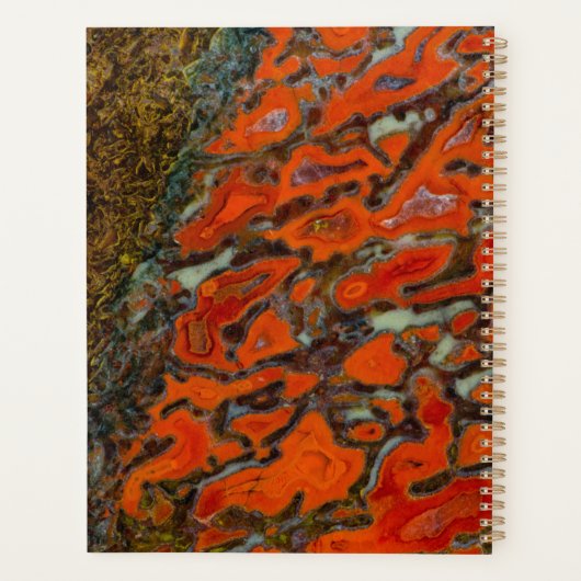 Red Petrified Dinosaur Bone Planner (Achterkant)