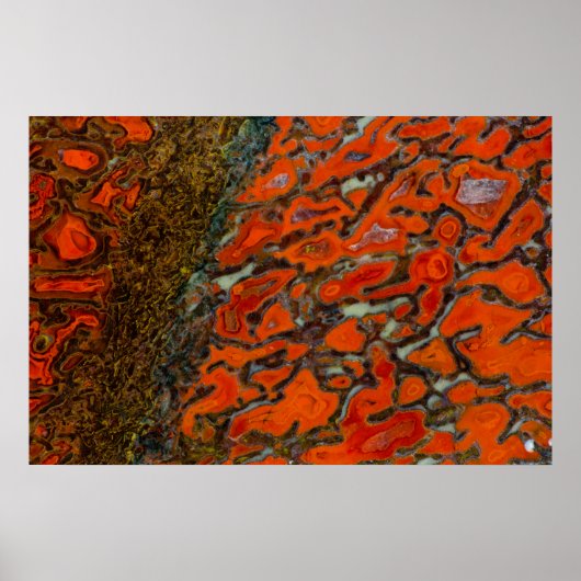 Red Petrified Dinosaur Bone Poster (Voorkant)