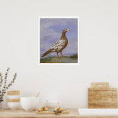 Red Pied Carrier Poster (Keuken)