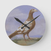 Red Pied Carrier