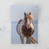 Red Pinto Stallion Leaps Wild Horse Carte de voeux (Intérieur)