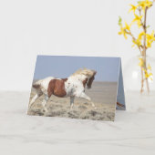 Red Pinto Stallion Leaps Wild Horse Carte de voeux (Fleur jaune)