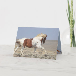 Red Pinto Stallion Leaps Wild Horse Wenskaart Kaart