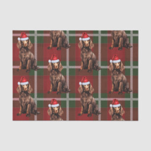 Red Plaid Boykin Spaniel Hondenliefhebber Vakantie Tissuepapier
