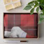 Red Plaid Christmas Coton de Tulear Dog Tissuepapier (Geschenk)