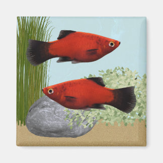 Red Platies Tropical Fish Nature Aquarium Magnet Magneet