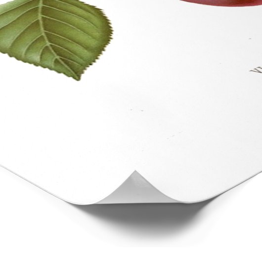 Red Plum Poster (Hoek)