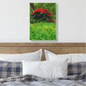 Red Poinsettia Canvas Afdruk (Insitu (Slaapkamer))