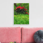 Red Poinsettia Canvas Afdruk (Insitu (Woonkamer))