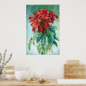 Red Poinsettia Flowers  Poster voor schilderen (Keuken)