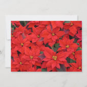 Red Poinsettias Fête Invitation (Dos)