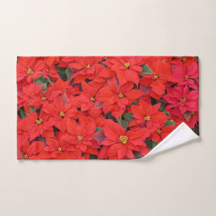 Red Poinsettias I Christmas Holiday Floral Photo
