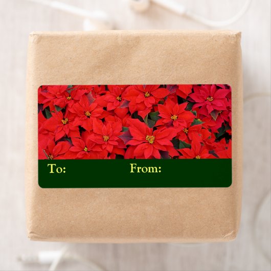 Red Poinsettias I Kerstfeestdag Floral Foto Etiket (Insitu)