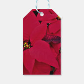 RED POINTSETTIA CADEAU LABEL CADEAULABEL (Achterkant)