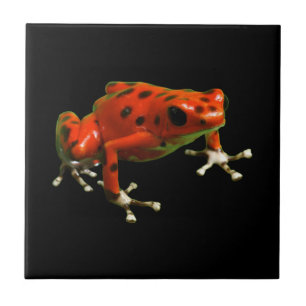 Red Poison Dart Frog Tegeltje