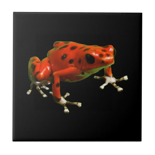 Red Poison Dart Frog Tegeltje (Voorkant)