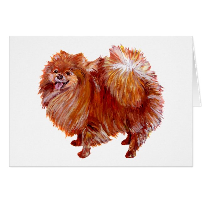 Red Pomeranian (Voorkant Horizontaal)