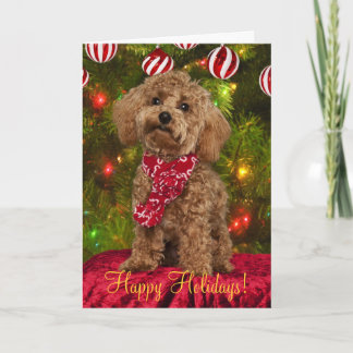Red Poodle-kerstkaart Feestdagen Kaart