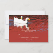 Red Pop Art Pekin Ducks Faire-part de mariage RSVP (Devant)