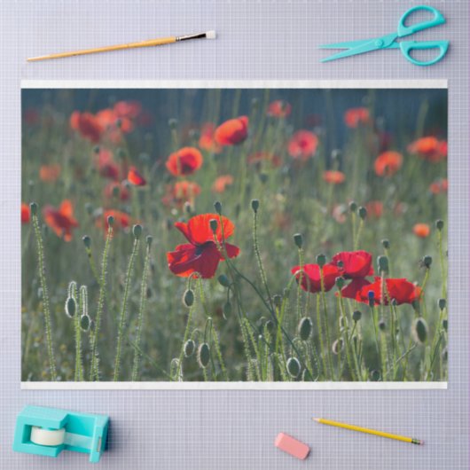 Red Poppie Field-ontkoppeling Tissuepapier (Craft)