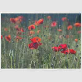 Red Poppie Field-ontkoppeling Tissuepapier