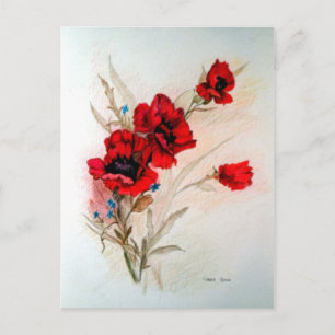 Red Poppies Briefkaart