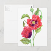 Red Poppies Floral Art Briefkaart (Voorkant / Achterkant)