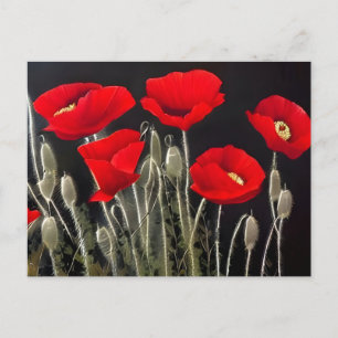 Red Poppies Natuur Art Briefkaart